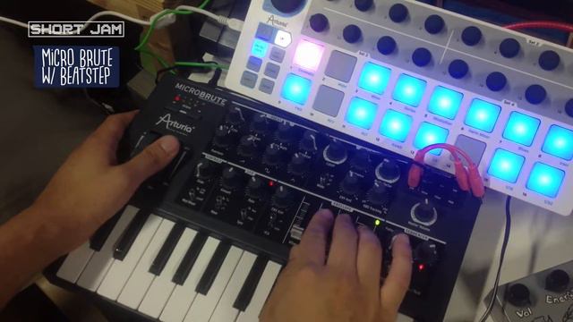 A SHORT SYNTH JAM with Arturia Gadgets (MicroBrute & Beatstep) #01 | [esjay405] смотреть онлайн