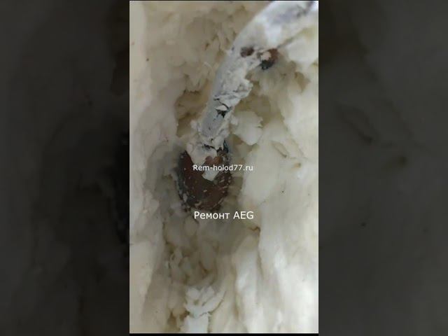 Ремонт холодильников AEG Москва /rem-holod77.ru/ смотреть онлайн