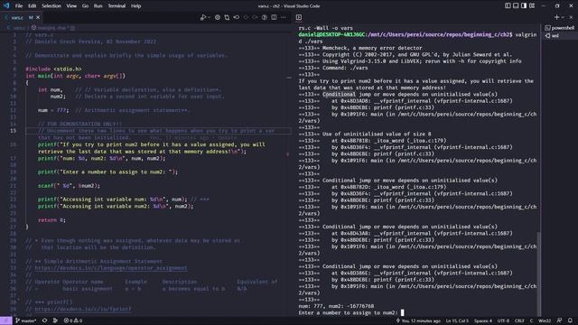 C: Simple Usage Of Variables And Initialization. смотреть онлайн