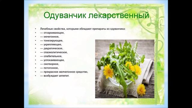 Зелёная аптека. Одуванчик. смотреть онлайн