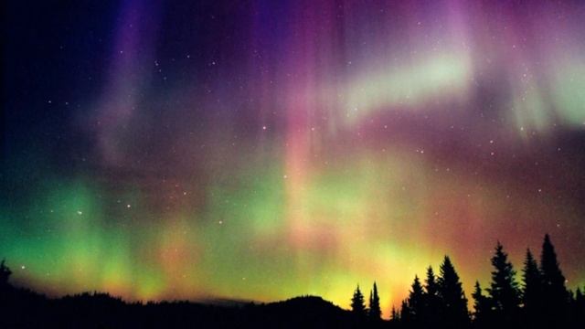 В лесу на проталой полянке— Сергей Клычков — читает Павел Беседин смотреть онлайн