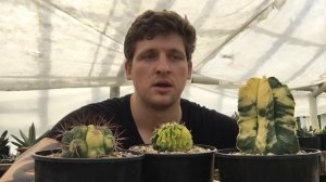 Грунт для кактусов - сажаем колючих питомцев правильно!