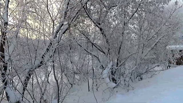Хруст снега под ногами. Прогулка. Иней 2. ASMR. The crunch of snow underfoot. Walk. Hoarfrost 2. смотреть онлайн