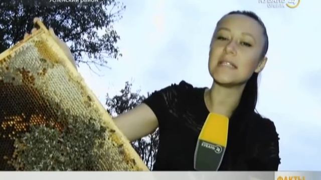 Кочевое пчеловодство. смотреть онлайн