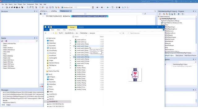 RAD for Fitbit Web API: Building a Delphi component смотреть онлайн