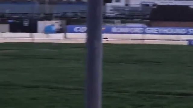 BUBBLY BONANZA does a fast 24:26 trial at Romford. 8/1/2019. Xxxx смотреть онлайн