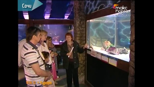В Сочи появились акулы смотреть онлайн