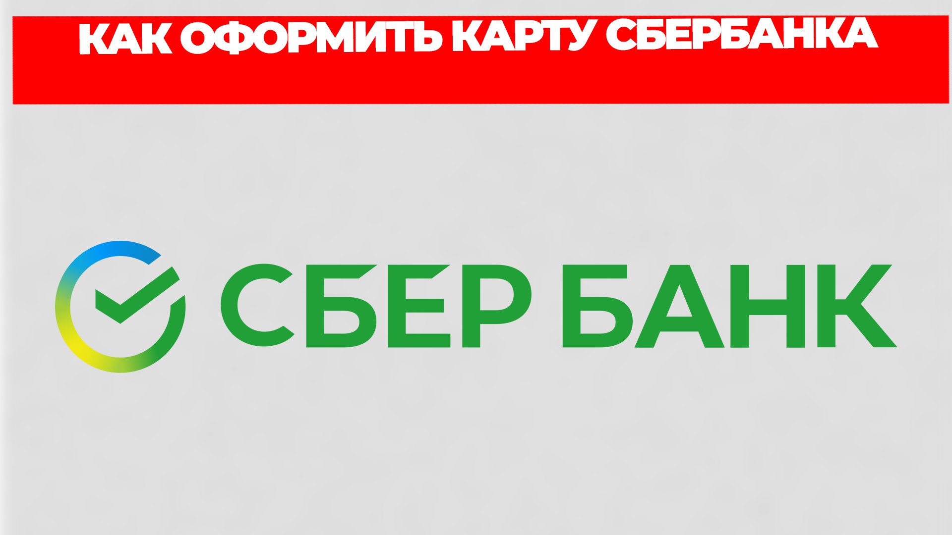 Всезнающий Енот