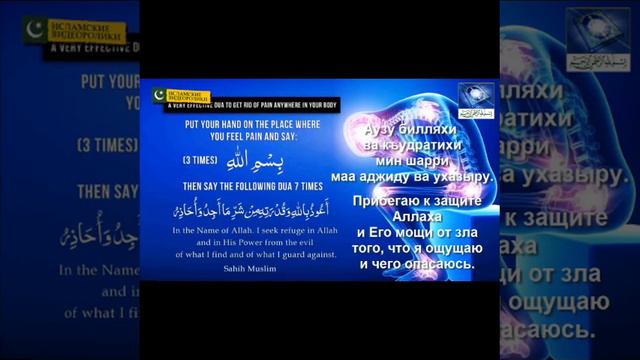 Бул дуа бардык оруларга жардам берет. смотреть онлайн