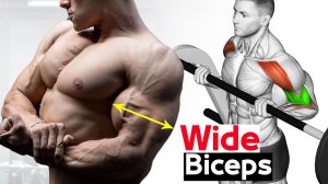 6 ЛУЧШИХ упражнений на ШИРОКИЕ БИЦЕПСЫ