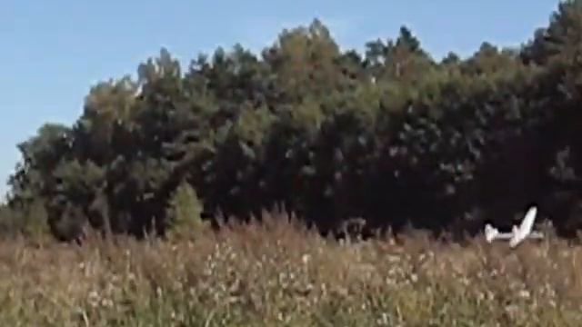 Larus Marinus Flight Day смотреть онлайн