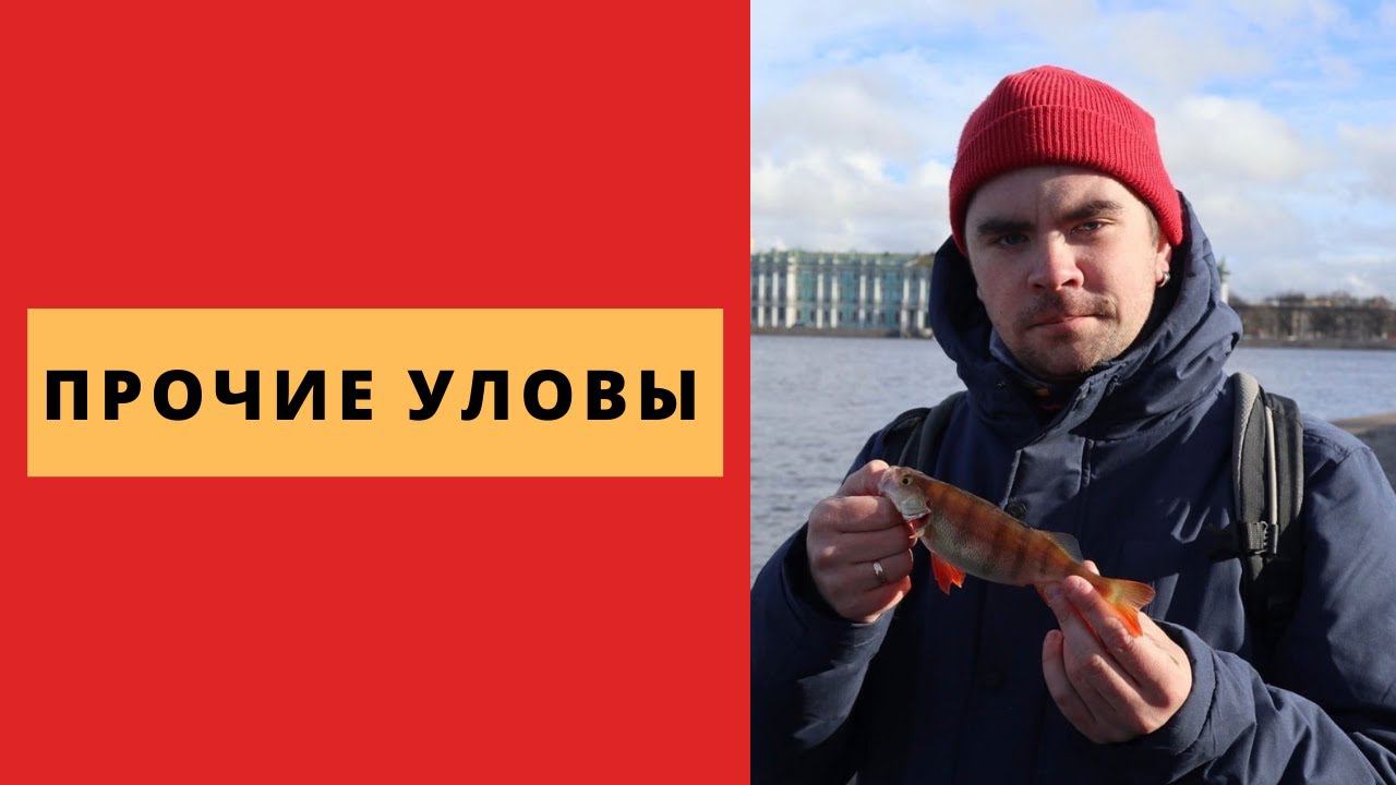 #5 #ультралайт Рыбалка Санкт-Петербург. Прочие уловы смотреть онлайн