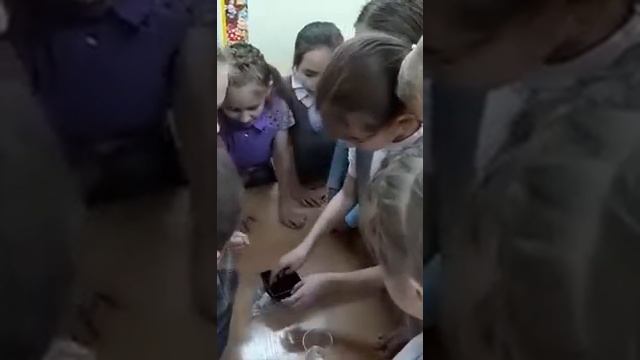 Тюмень Школа 63, 3 В класс смотреть онлайн