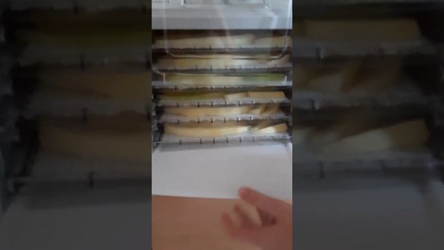 Готовим сушёную дыню с помощью электросушилки для овощей и фруктов Kitfort-KT-1907 смотреть онлайн