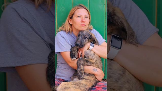 У нас есть свободные щенки смотреть онлайн