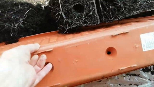 В цветочном ящике на балконе росла редиска и горох. смотреть онлайн