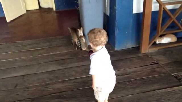 Сан-Томе. Сан-Жоау душ Анголареш. Кися, на баклажанчик смотреть онлайн