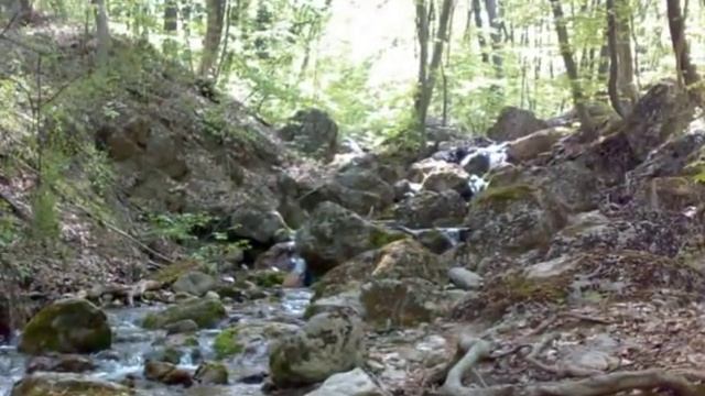 Воин вереска - фото-видео зарисовка по мотивам... смотреть онлайн