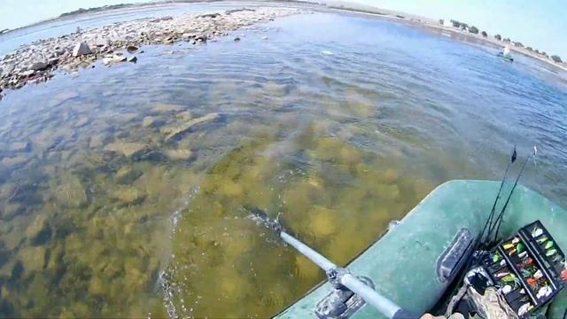 Групповой выезд на Капчагай. Ловля Змееголова. смотреть онлайн