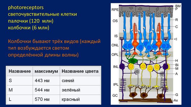 Почему RGB? смотреть онлайн