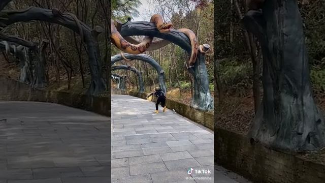 Приколы из Тик Тока смотреть онлайн