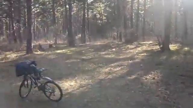 ПРОКАТ ДЕТСКИХ МОТОЦИКЛОВ, КВАДРОЦИКЛОВ, МОТОКРОСС. КЕМЕРОВО. смотреть онлайн