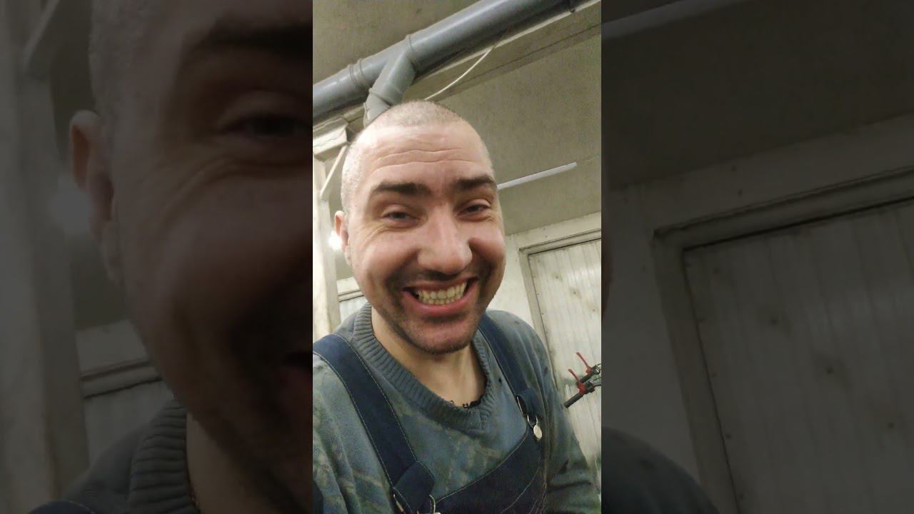 В коляске мотоцикла "Днепр" завелась живность!!!! смотреть онлайн