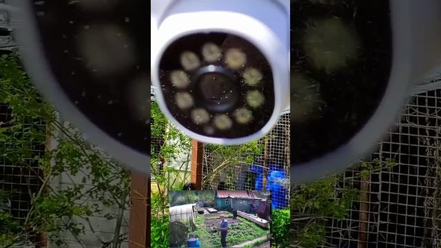 PTZ WiFi камера Tuya 3MP с авто отслеживанием смотреть онлайн