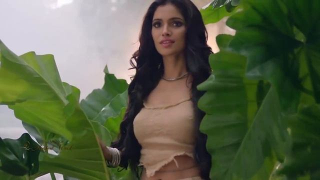 MYSTICAL WOOD - Stive Morgan