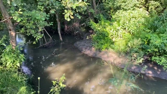Деревенский туризм в Загарино: Речка Сызранка/15.07.21 смотреть онлайн