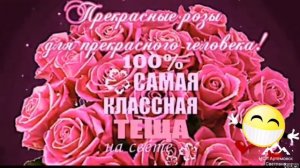 Лучшая песня про  тещу ! Красивое поздравление с днем тещи ! Mother in law's day