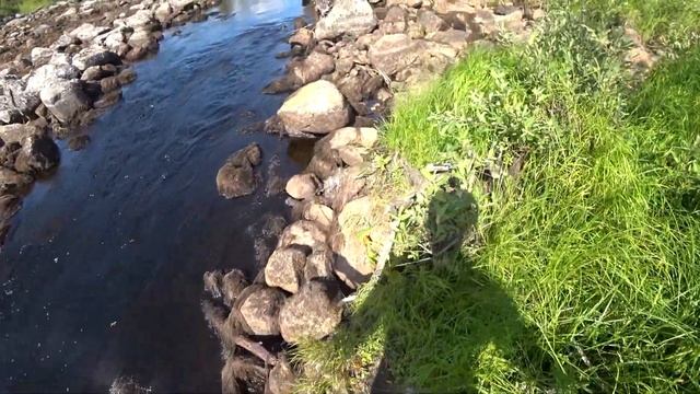 Река между двух Озер Кишит рыбой / Рыбалка на Спиннинг / Северная Карелия смотреть онлайн