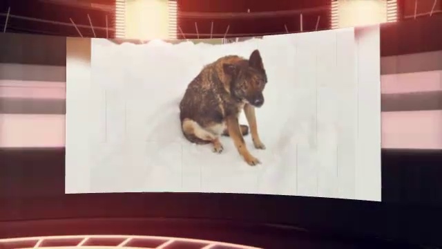 Спортивно-динамичный . Видео из фото. смотреть онлайн