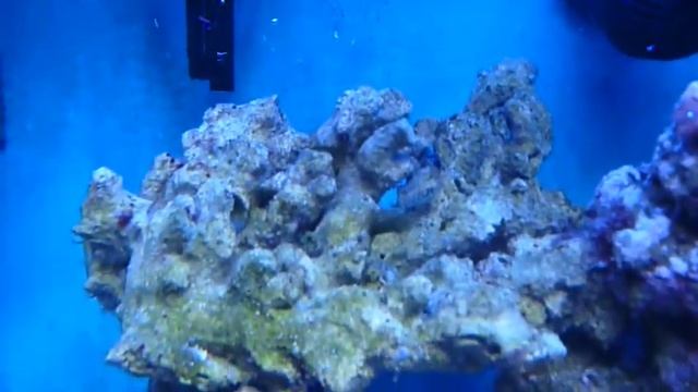 Утреннее и вечернее освещение смотреть онлайн