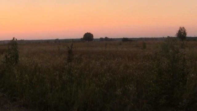 По лугу Новоселки на Десне.Вышгородский район. 2017-й... смотреть онлайн