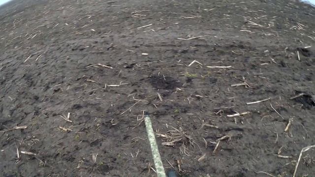 ОХОТА НА ГУСЯ 27.03.2018. Охота с чучелами со скрадка