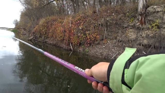 Рыбалка на Поплавок. Голавль и Краснопёрка на Реке смотреть онлайн