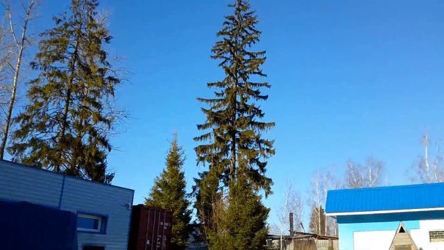 Женщина за 40. Зарплата в Москве, услуги в Подмосковье. Ужас в конце смотреть онлайн