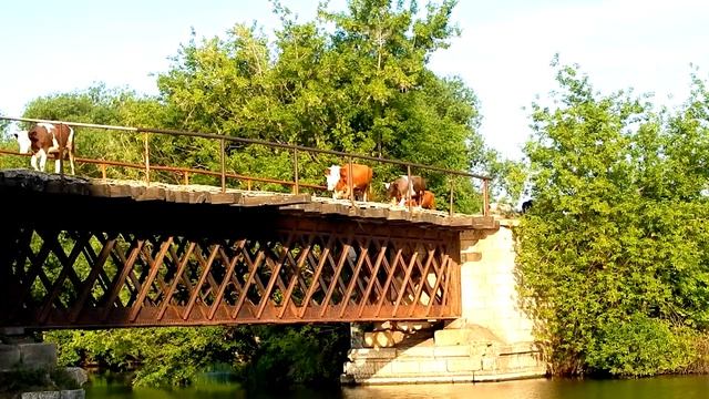 Июнь,на рыбалку не плюй смотреть онлайн