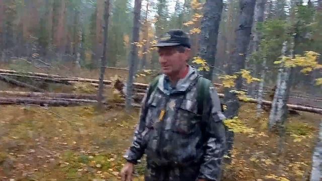 С карелкой на глухаря (часть первая) смотреть онлайн