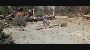 Бродяга высокогорных равнин.wmv