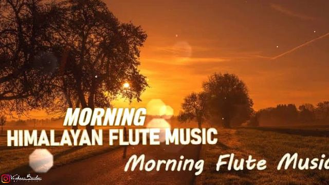Morning Flute Music | #flute #flutemusic #meditation #meditationmusic #songs #goodmorning смотреть онлайн