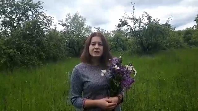 стих е Курский край смотреть онлайн