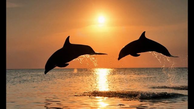 Markus Schulz Feat Andy Moor-Daydream смотреть онлайн