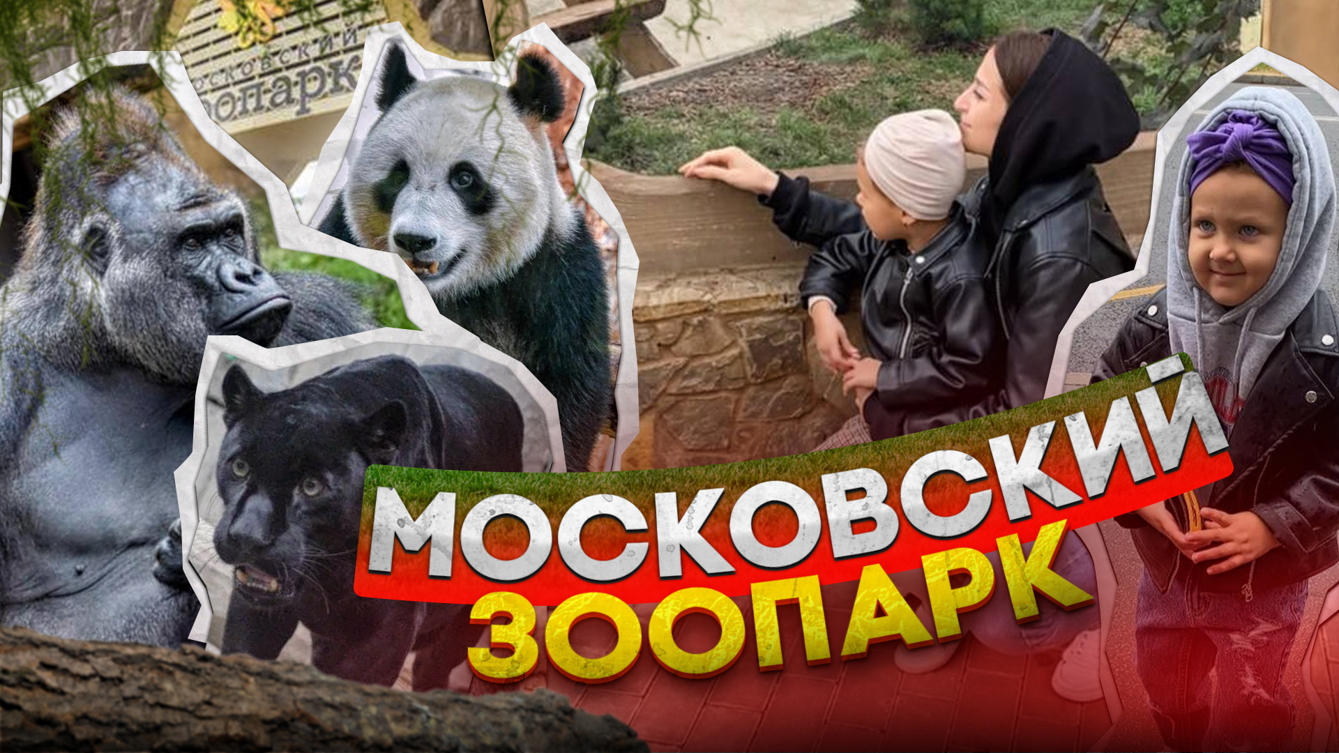 Московский зоопарк. Moscow Zoo. Куда сходить с семьей в Москве. Стоимость билетов и территория смотреть онлайн