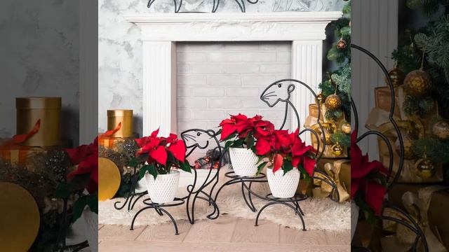 Лучший подарок - Подставка под цветы #hitsad.ru #shorts смотреть онлайн