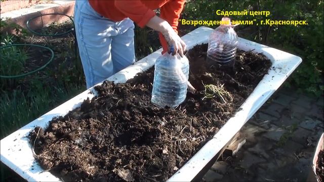 Органические отходы и их польза на дачном участке. смотреть онлайн