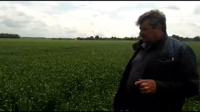 Боргустанская КФХ смотреть онлайн