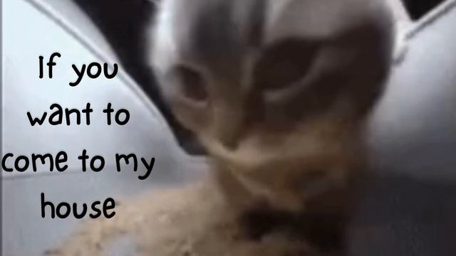 Chipi chipi chapa chapa (Full English Lyrics) смотреть онлайн