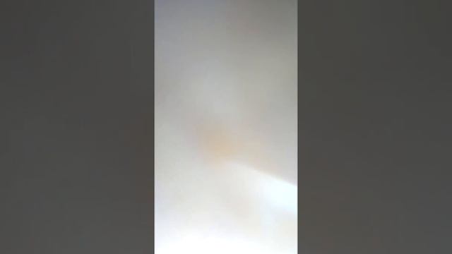 Я и Вовка смотреть онлайн